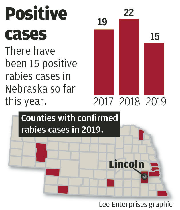 #3404_091119_rabies charts_2 copy